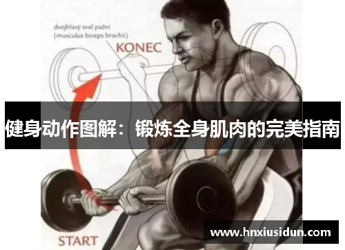 健身动作图解:锻炼全身肌肉的完美指南 健身动作图解:锻炼全身肌肉的完美指南